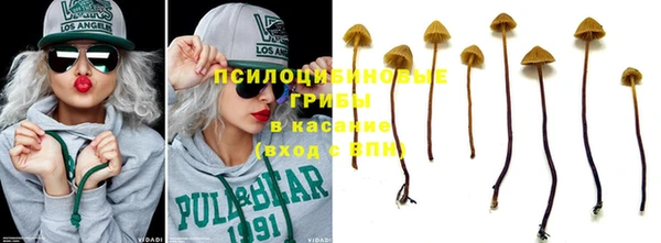 винт Анжеро-Судженск