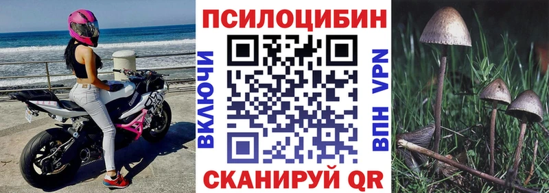 Псилоцибиновые грибы GOLDEN TEACHER магазин продажи Болгар